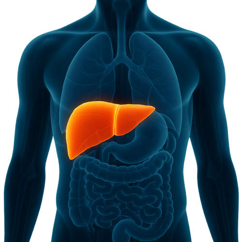 b47f218b-2c22-450e-9b93-b5af3548b195 (2)